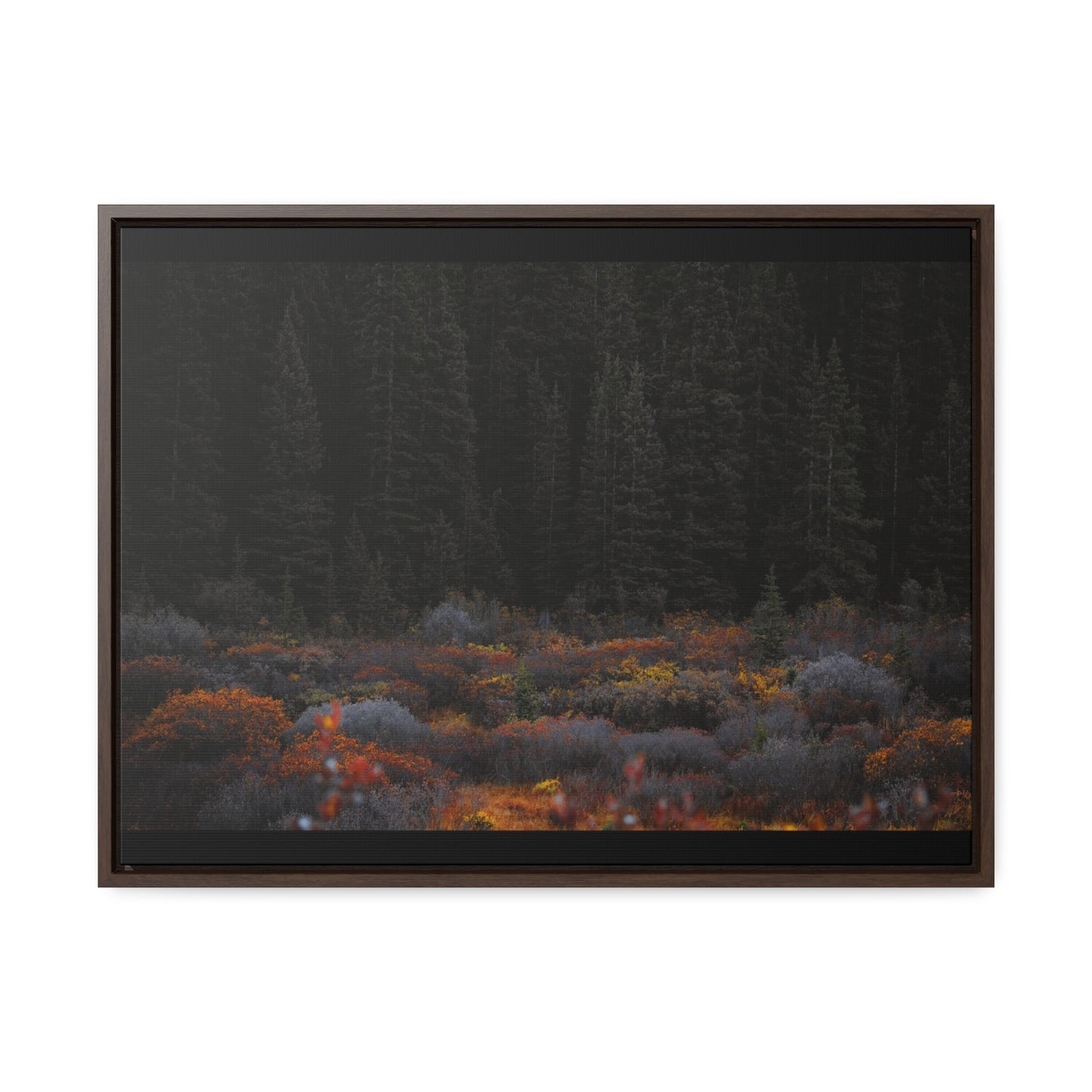 Moody Forest Framed Gallery Canvas