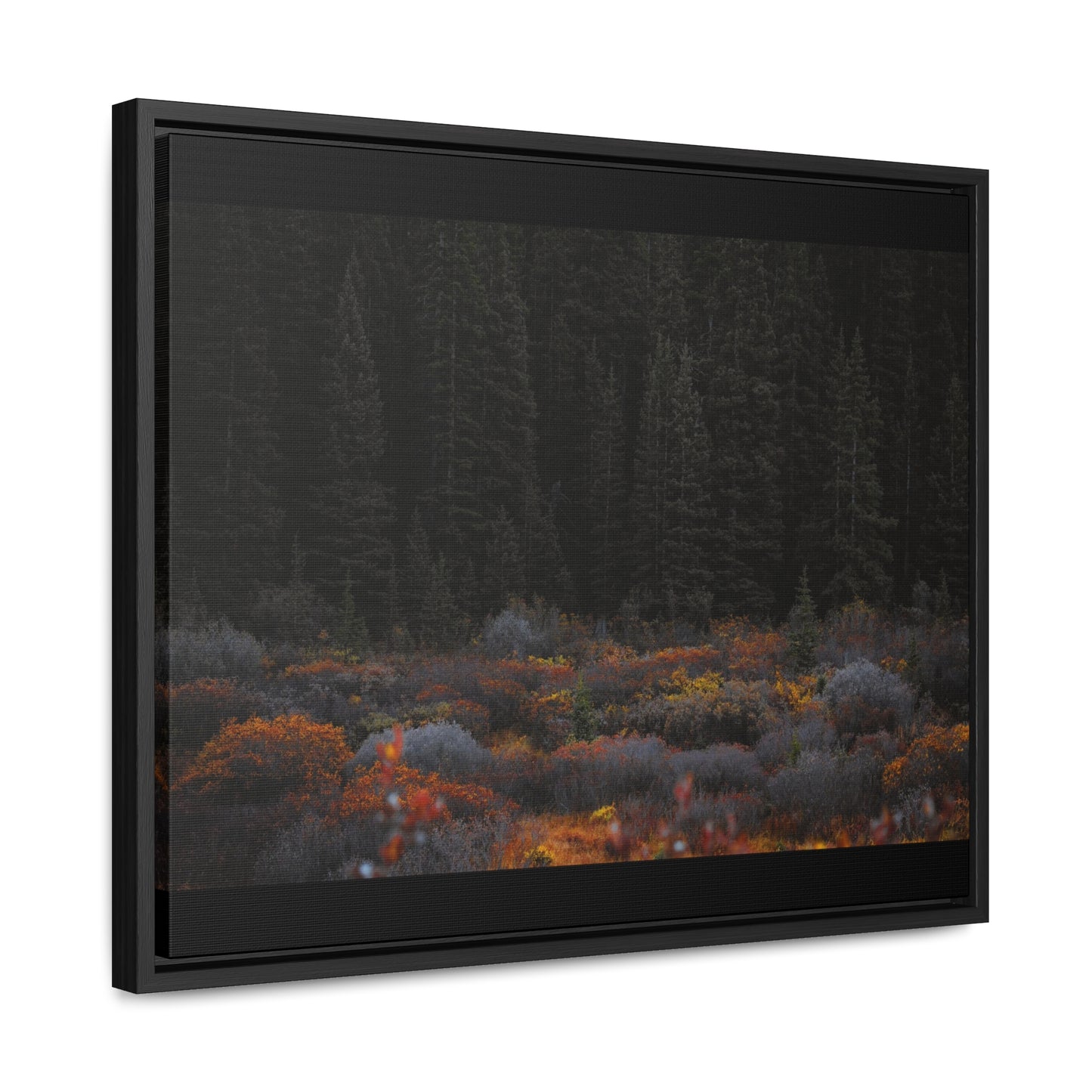 Moody Forest Framed Gallery Canvas