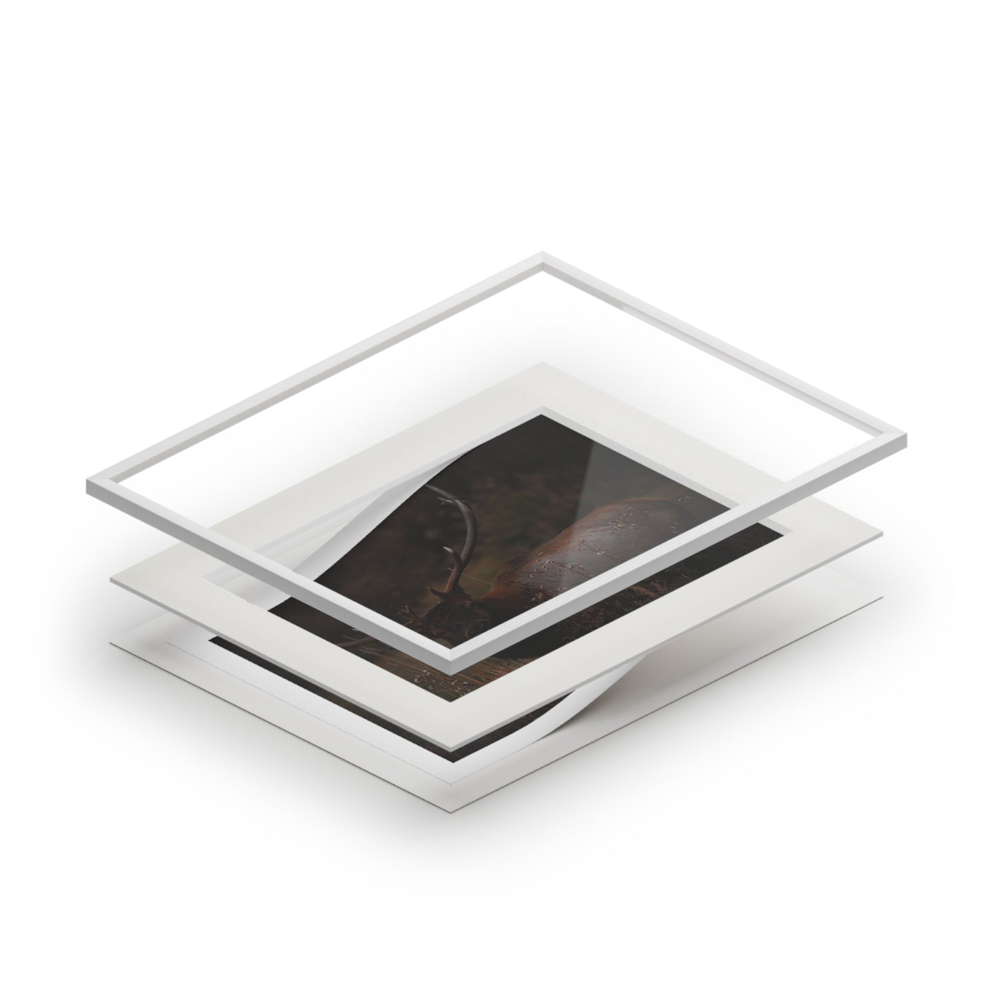 "The Look" Fine Art Prints (Passepartout Paper Frame)