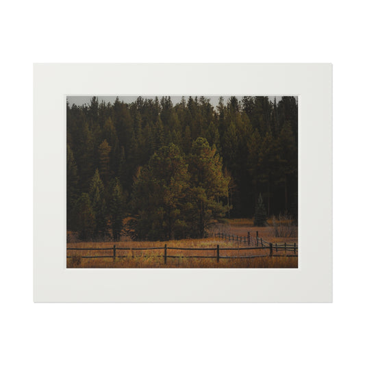"Forest's Edge" Fine Art Prints (Passepartout Paper Frame)