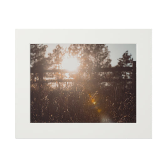 "October Sun" Fine Art Prints (Passepartout Paper Frame)