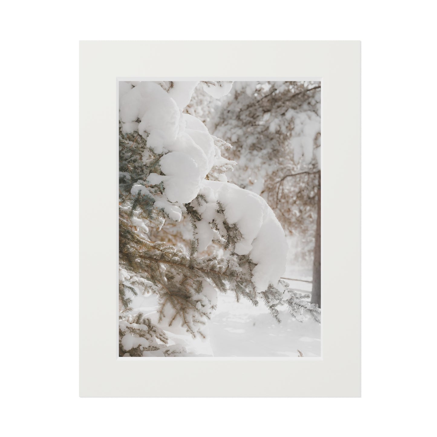 "Winter Glow" Fine Art Prints (Passepartout Paper Frame)