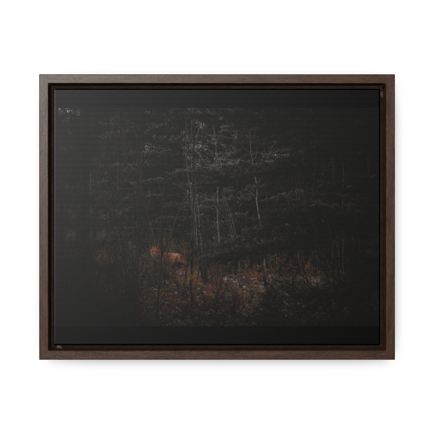 The Fox of the Forest Framed Gallery Canvas