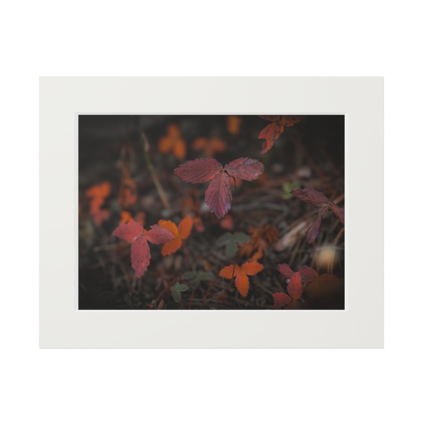 "Autumn Leaves" Fine Art Prints (Passepartout Paper Frame)