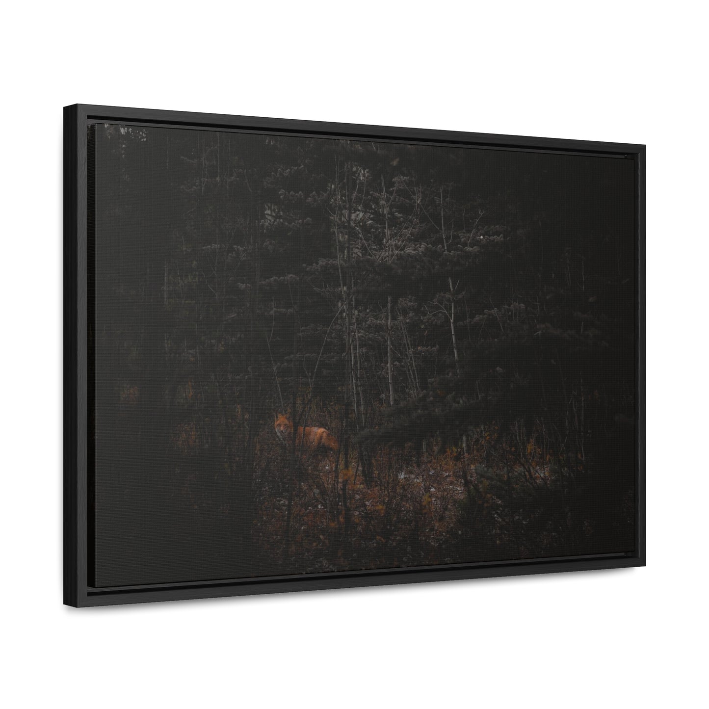 The Fox of the Forest Framed Gallery Canvas