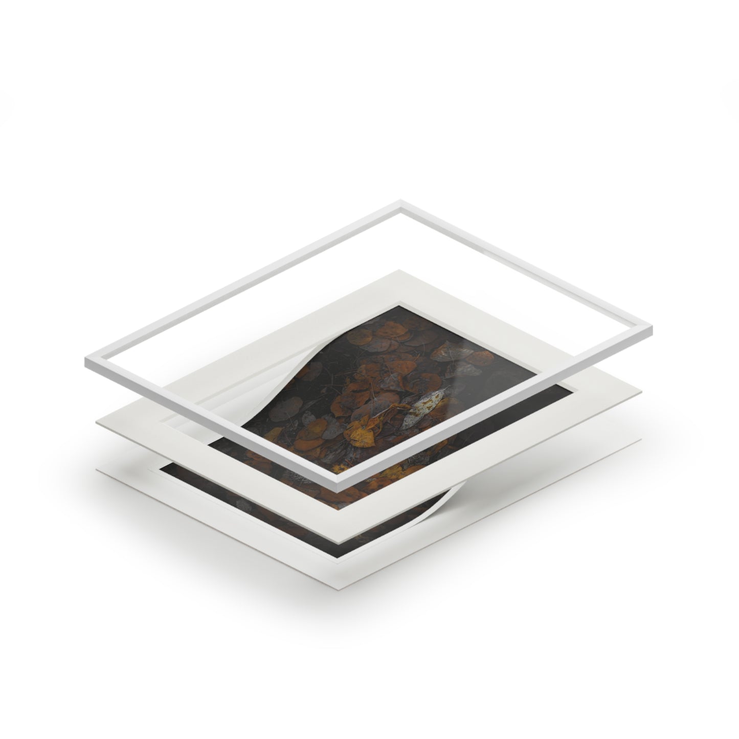 "Earthy Forest Floor" Fine Art Prints (Passepartout Paper Frame)