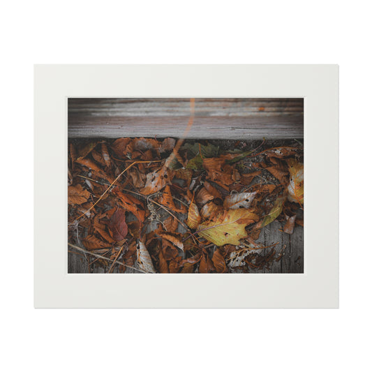 "Leaves on a Bridge" Fine Art Prints (Passepartout Paper Frame)