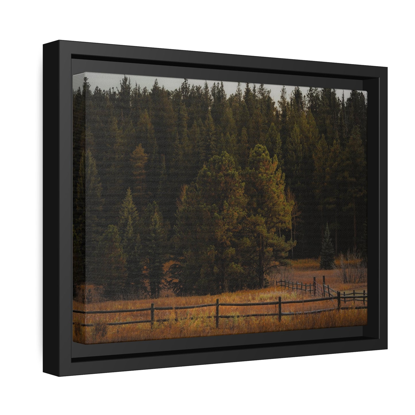 "Forest's Edge" Framed Canvas