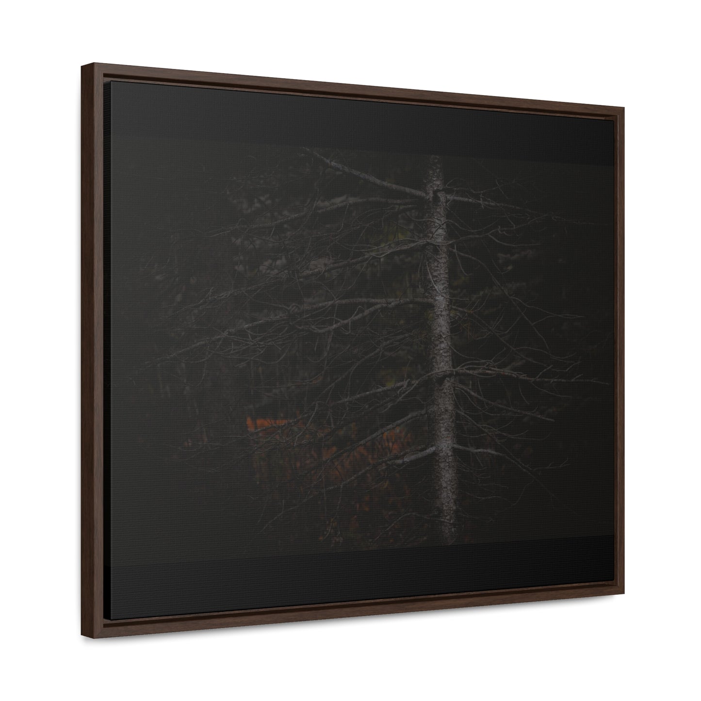 Beauty in Darkness Framed Gallery Canvas