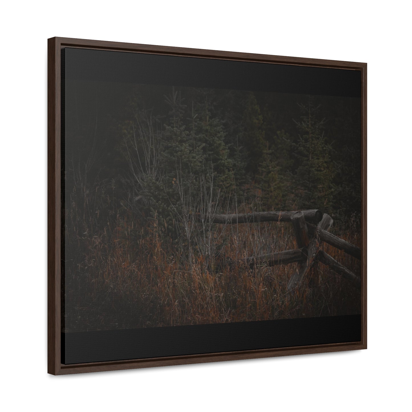 Countryside Forest Framed Gallery Canvas