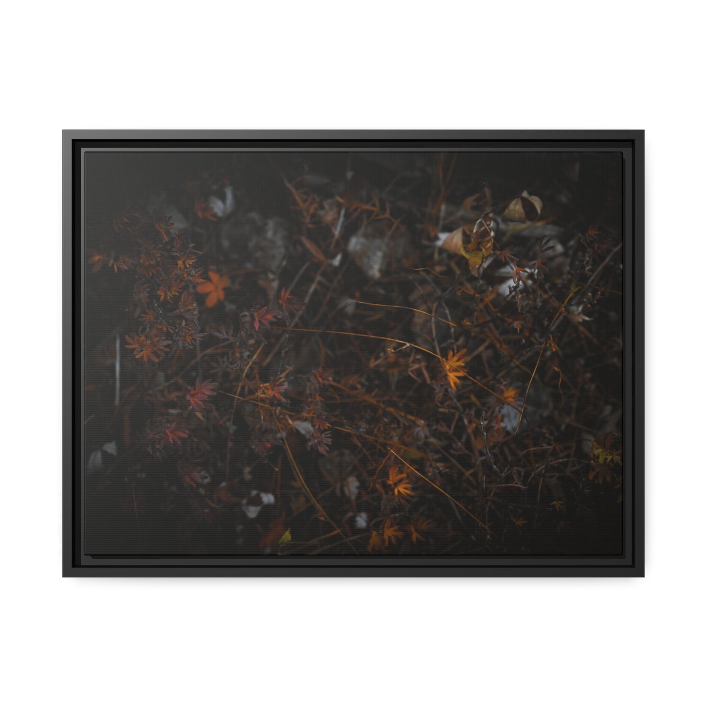 "Autumn's Last Breath" Framed Canvas
