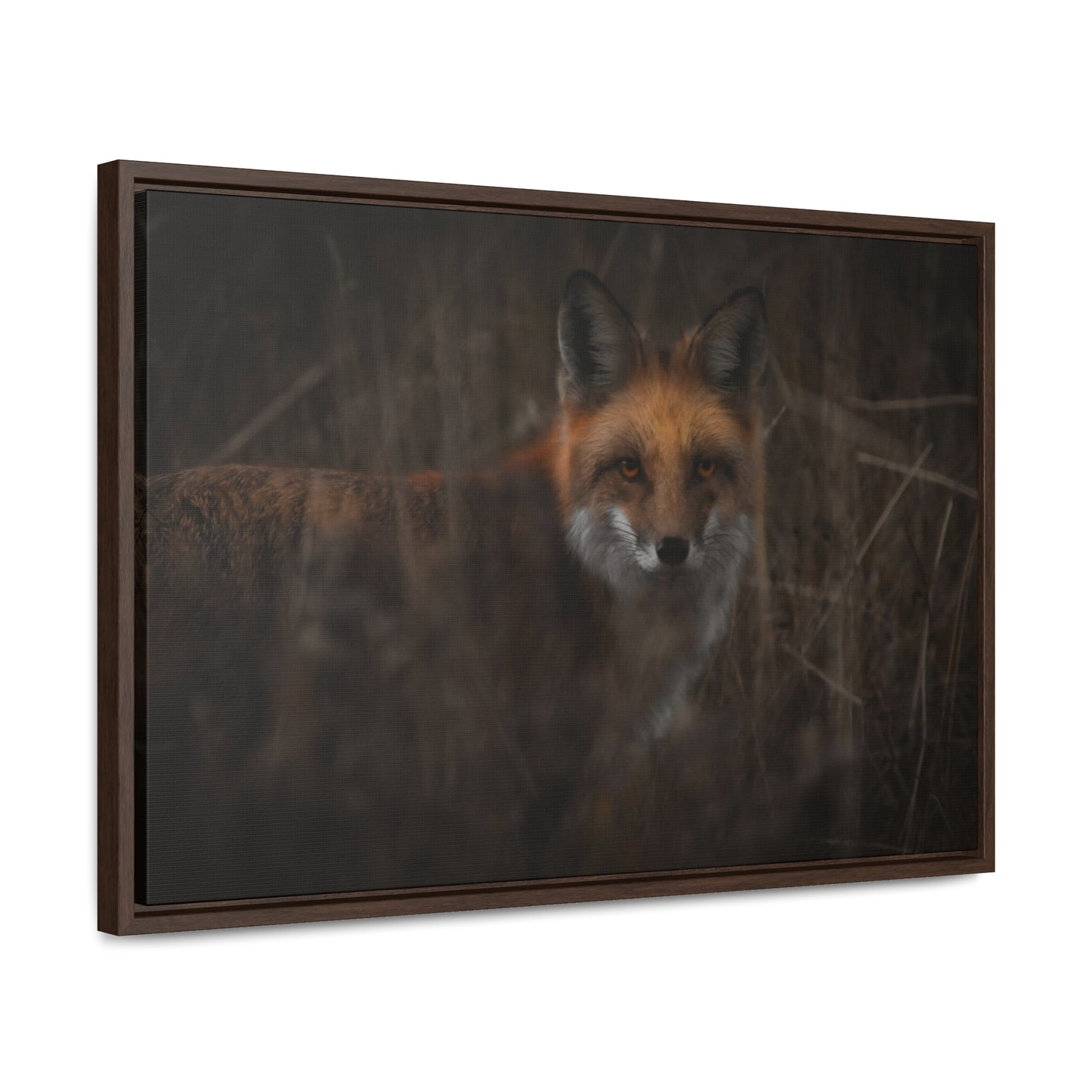 Fox Framed Gallery Canvas