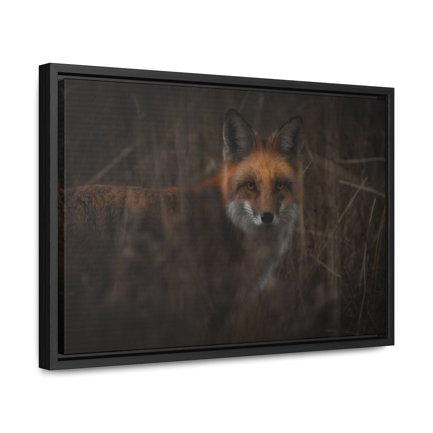 Fox Framed Gallery Canvas