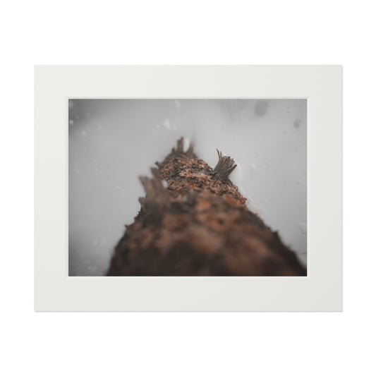 "The Snowfall" Fine Art Prints (Passepartout Paper Frame)