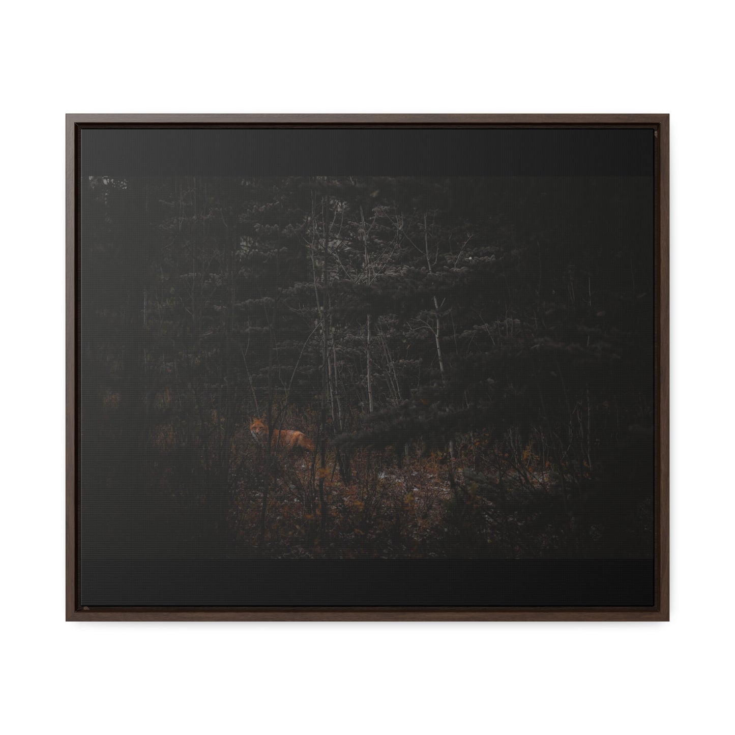 The Fox of the Forest Framed Gallery Canvas