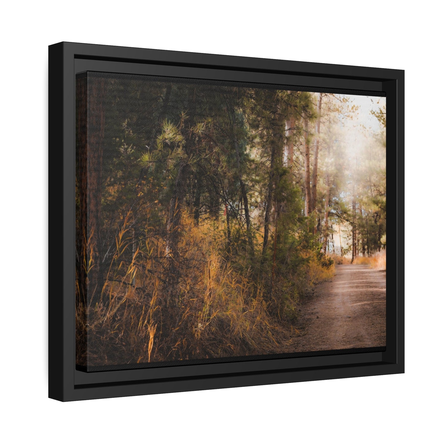 "Cemetery Light" Framed Canvas