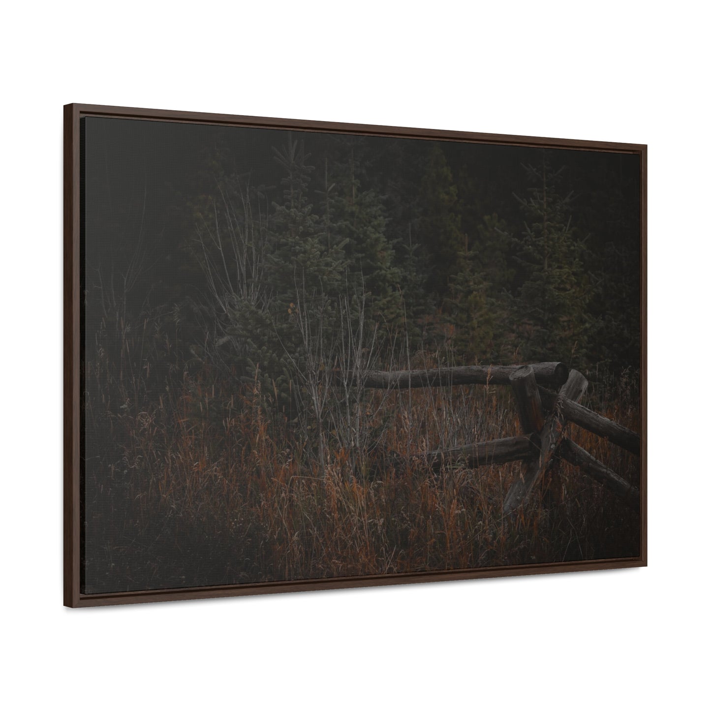 Countryside Forest Framed Gallery Canvas