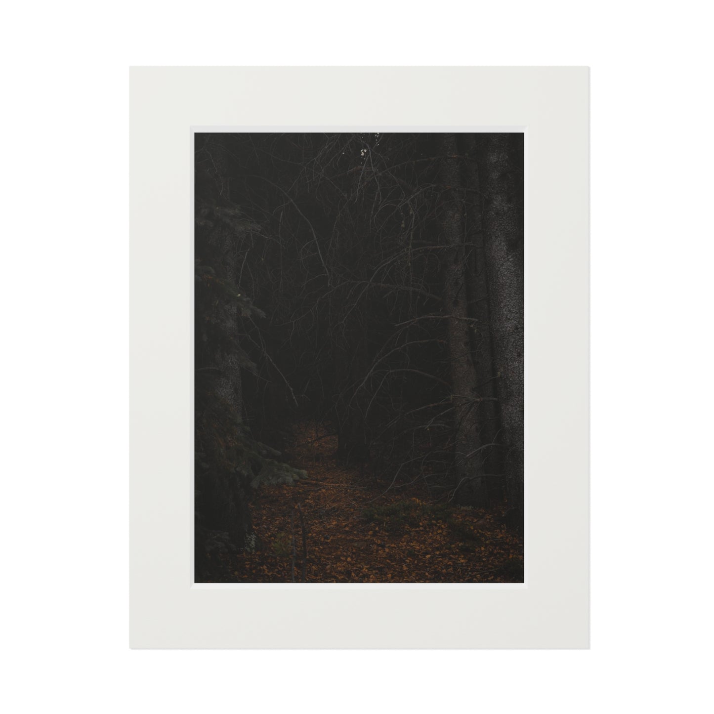 "Into the Woods" Fine Art Prints (Passepartout Paper Frame)