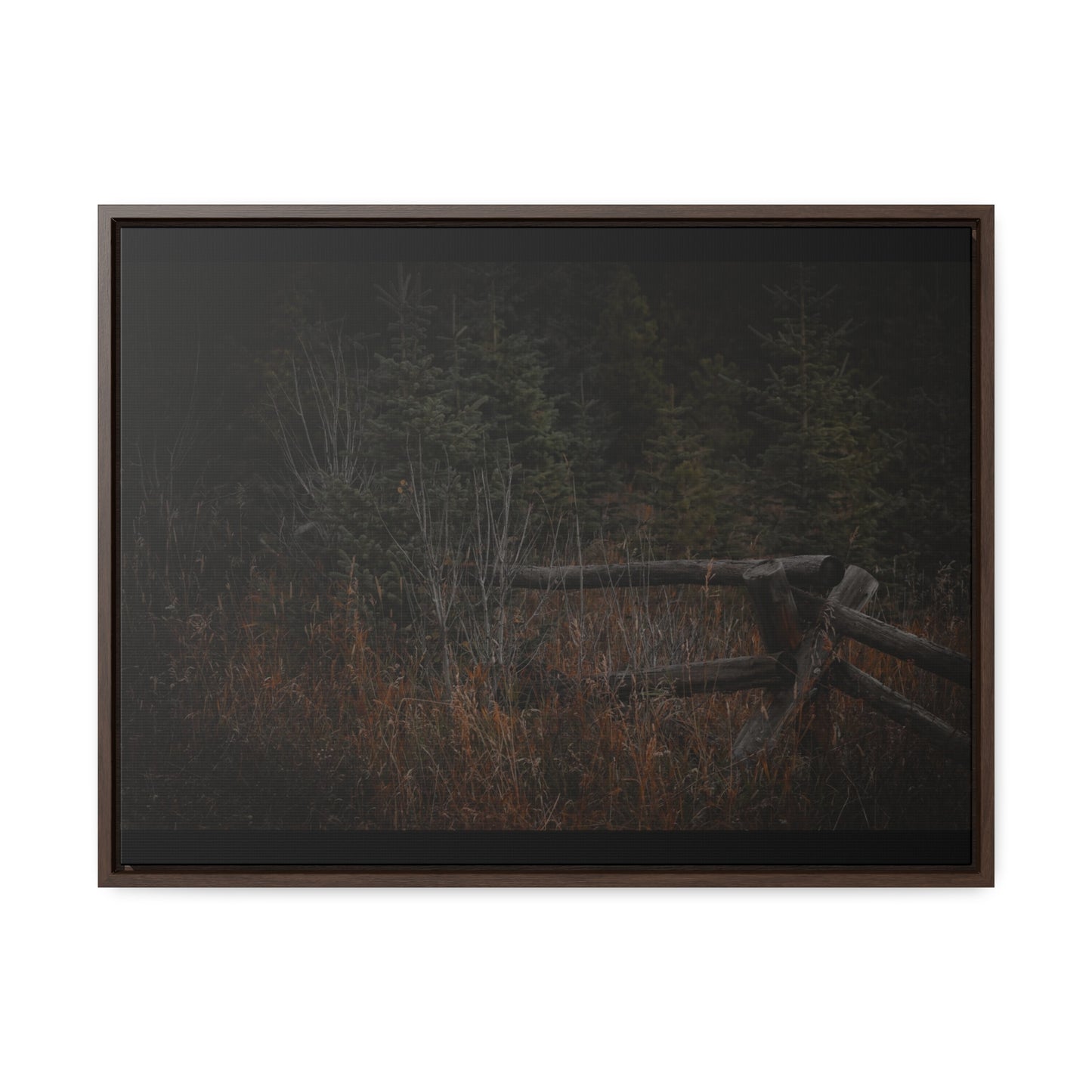 Countryside Forest Framed Gallery Canvas