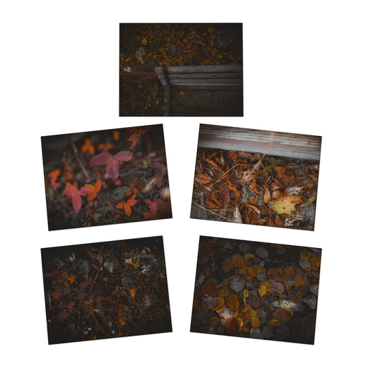 "Leaves" Multi-Design Greeting Cards (5-Pack)