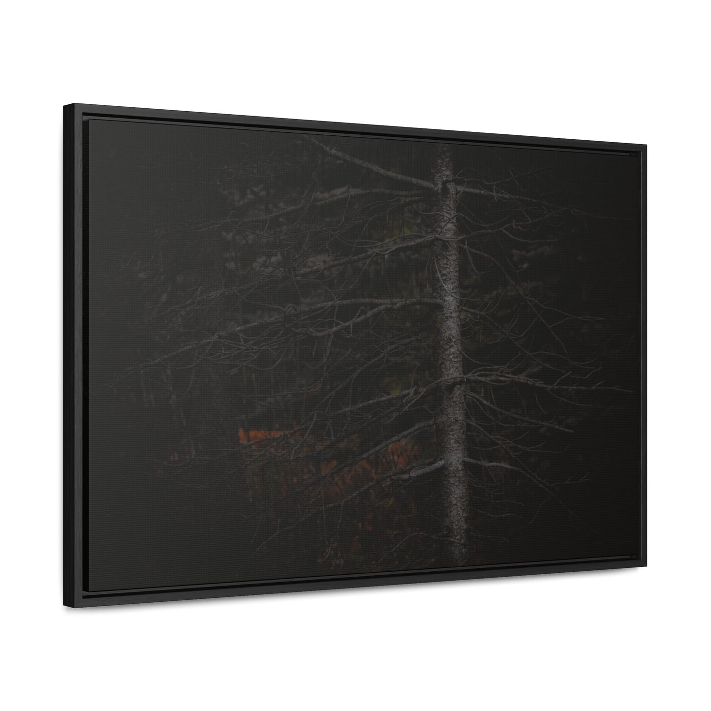 Beauty in Darkness Framed Gallery Canvas