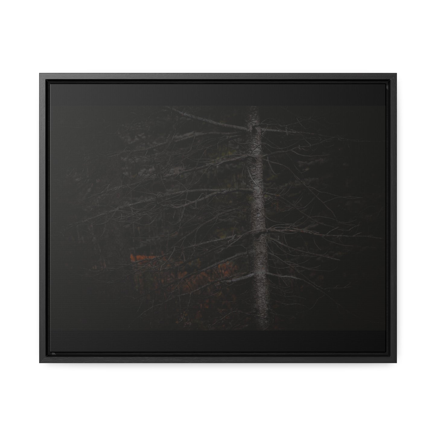 Beauty in Darkness Framed Gallery Canvas