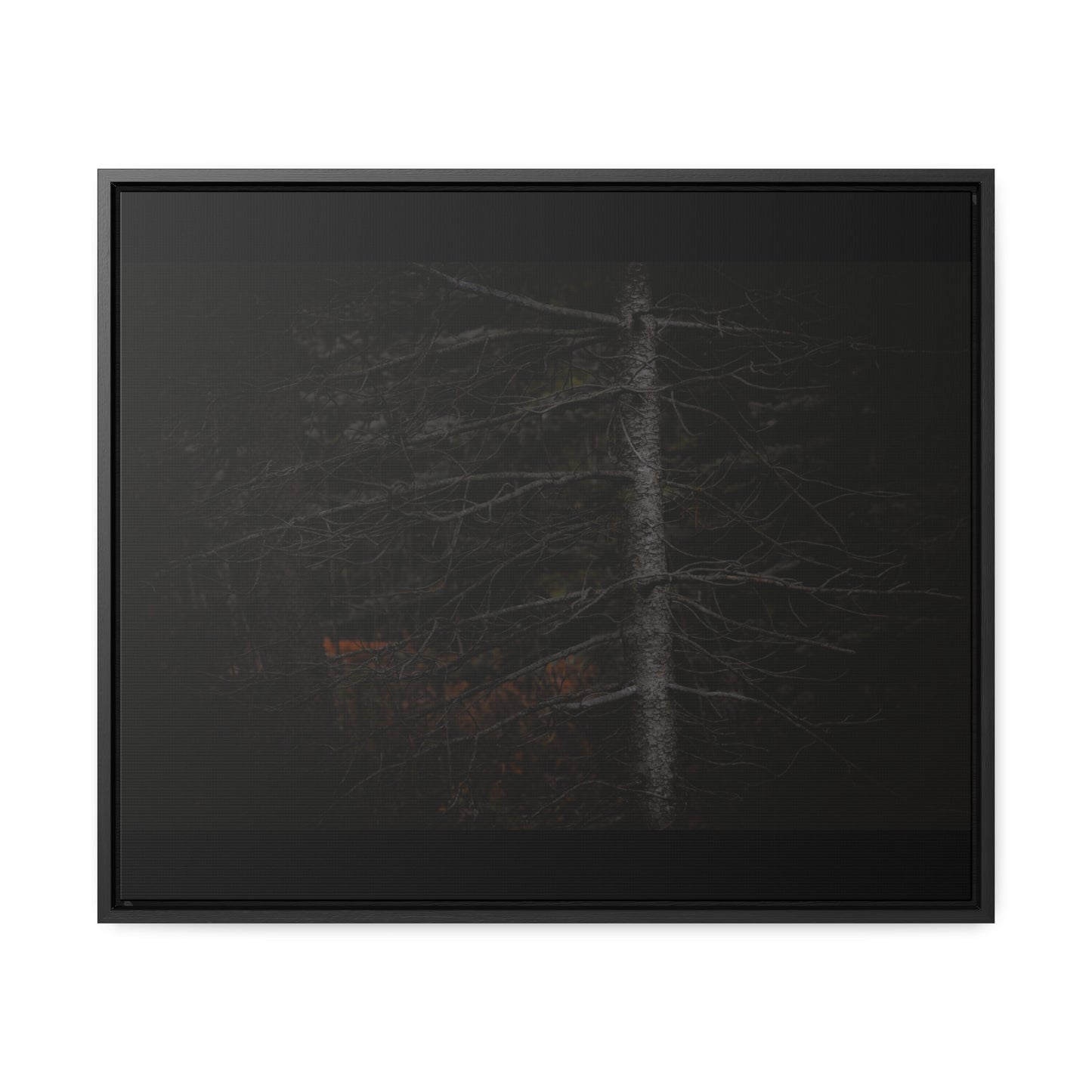 Beauty in Darkness Framed Gallery Canvas