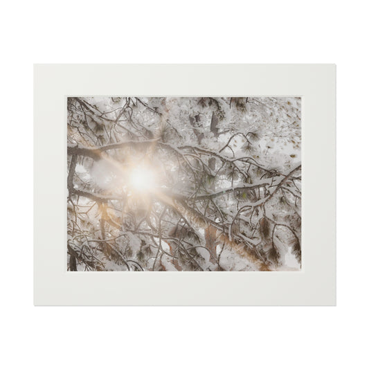 "Winter Light" Fine Art Prints (Passepartout Paper Frame)