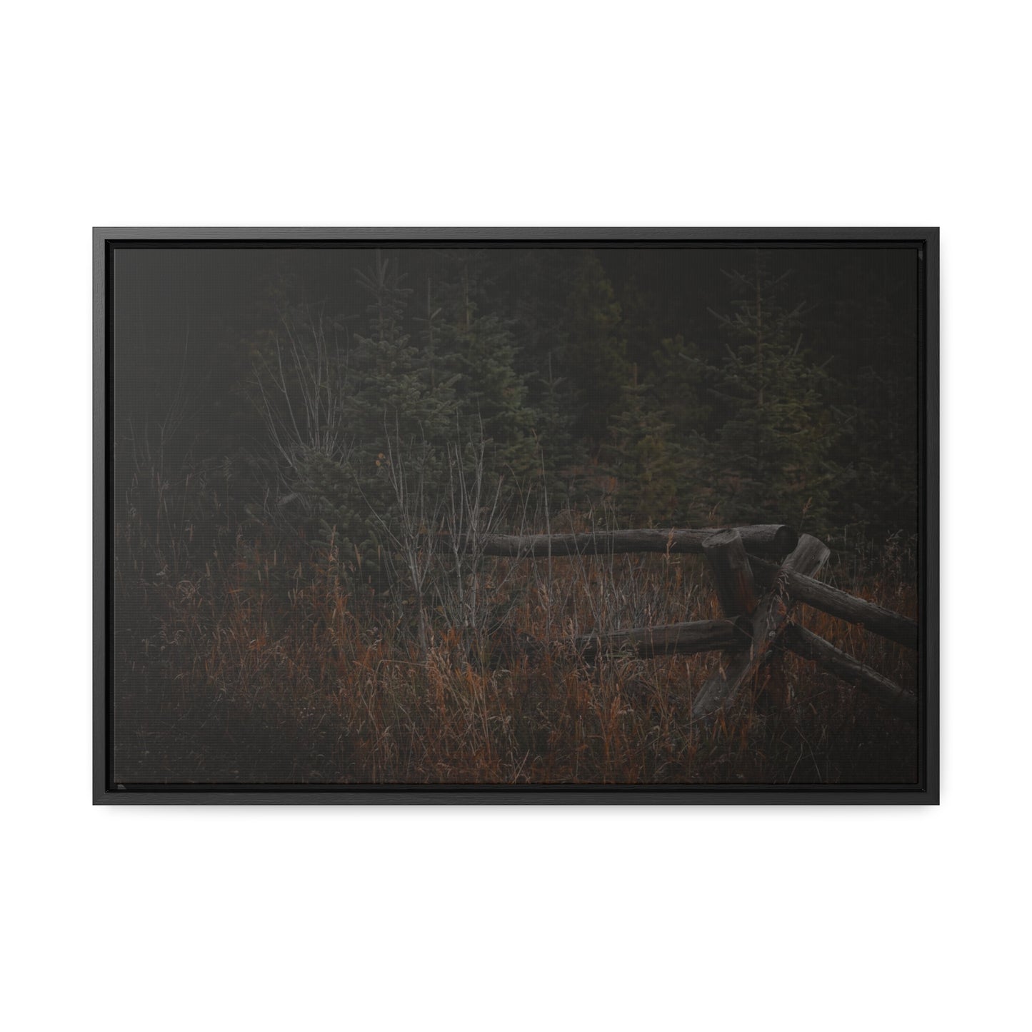 Countryside Forest Framed Gallery Canvas