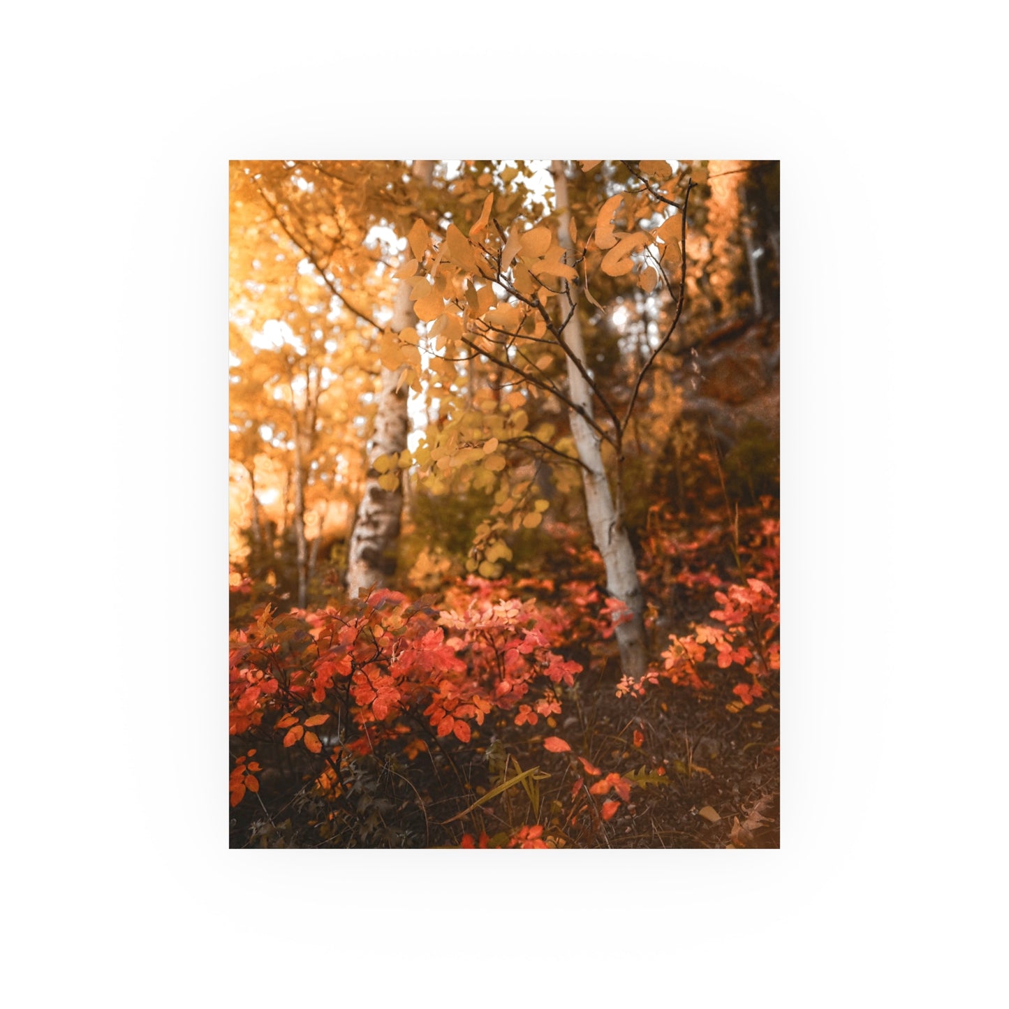 "Hello Autumn" Fine Art Print