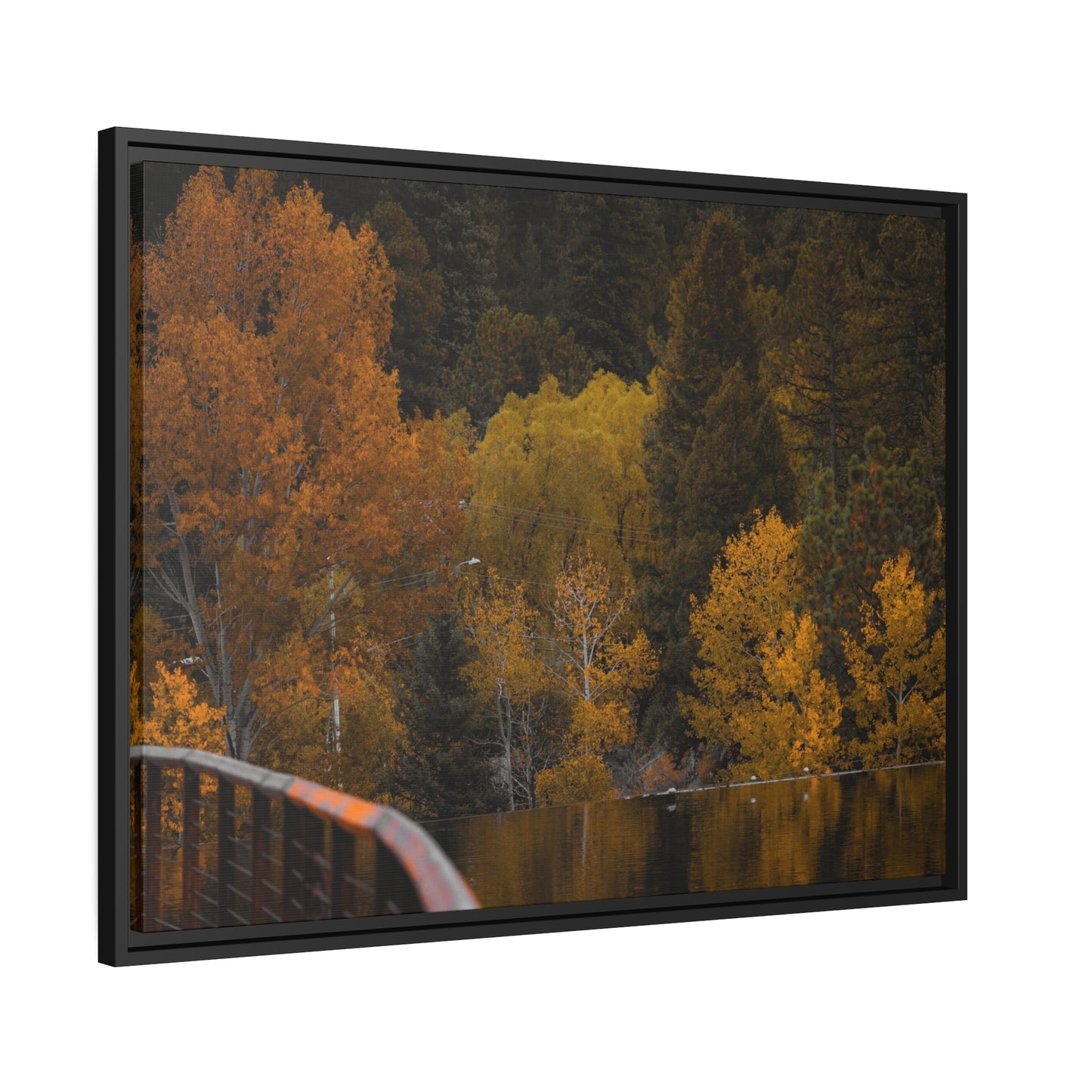 Fall Feelings Framed Canvas