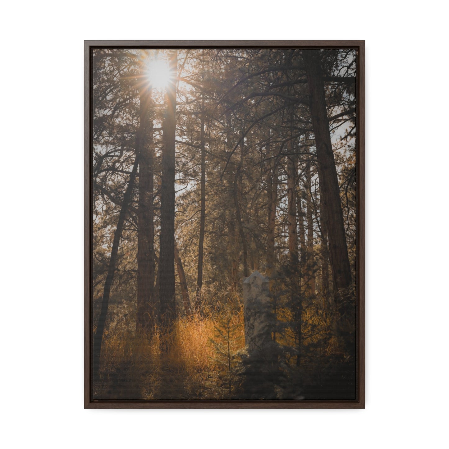 The Sun in the Cemetery Gallery Canvas Wraps, Vertical Frame