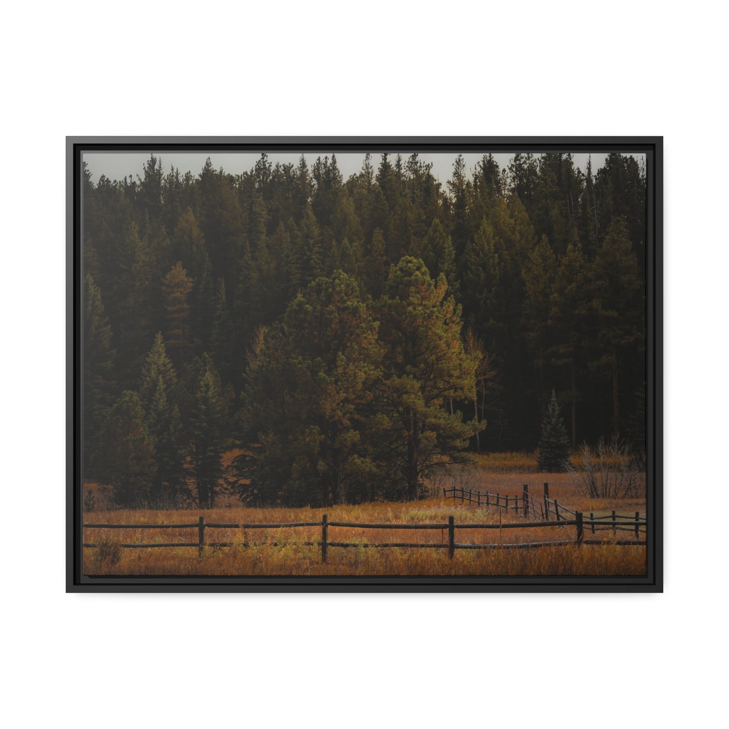 "Forest's Edge" Framed Canvas