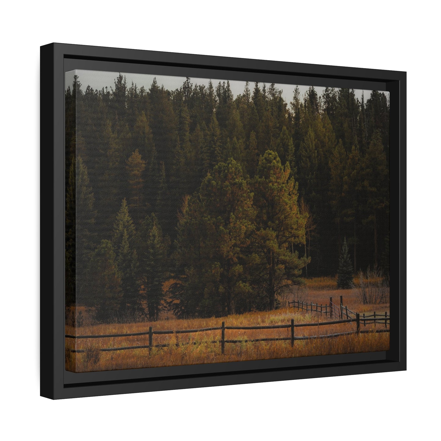 "Forest's Edge" Framed Canvas