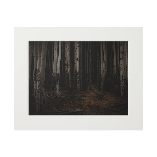 "Moody Aspen Grove" Fine Art Prints (Passepartout Paper Frame)