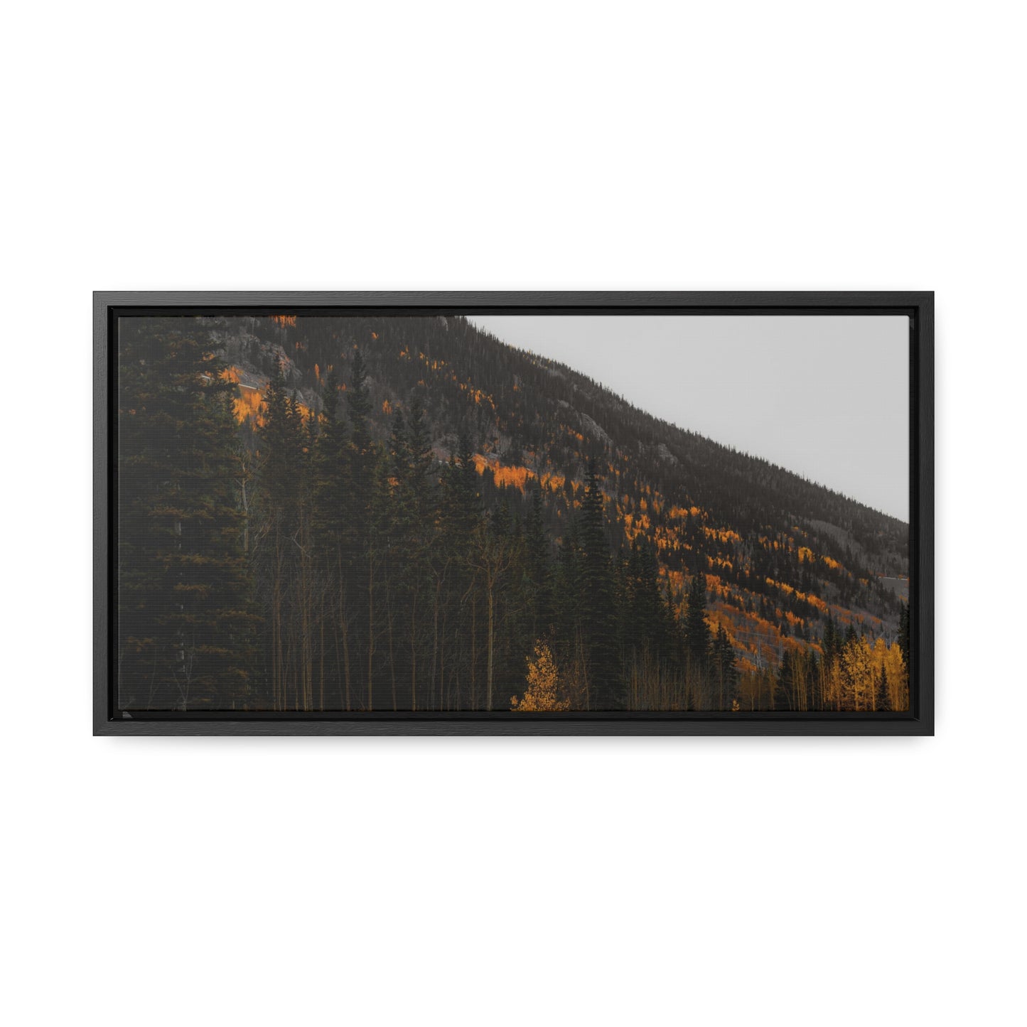 The Lonely Road Framed Gallery Canvas