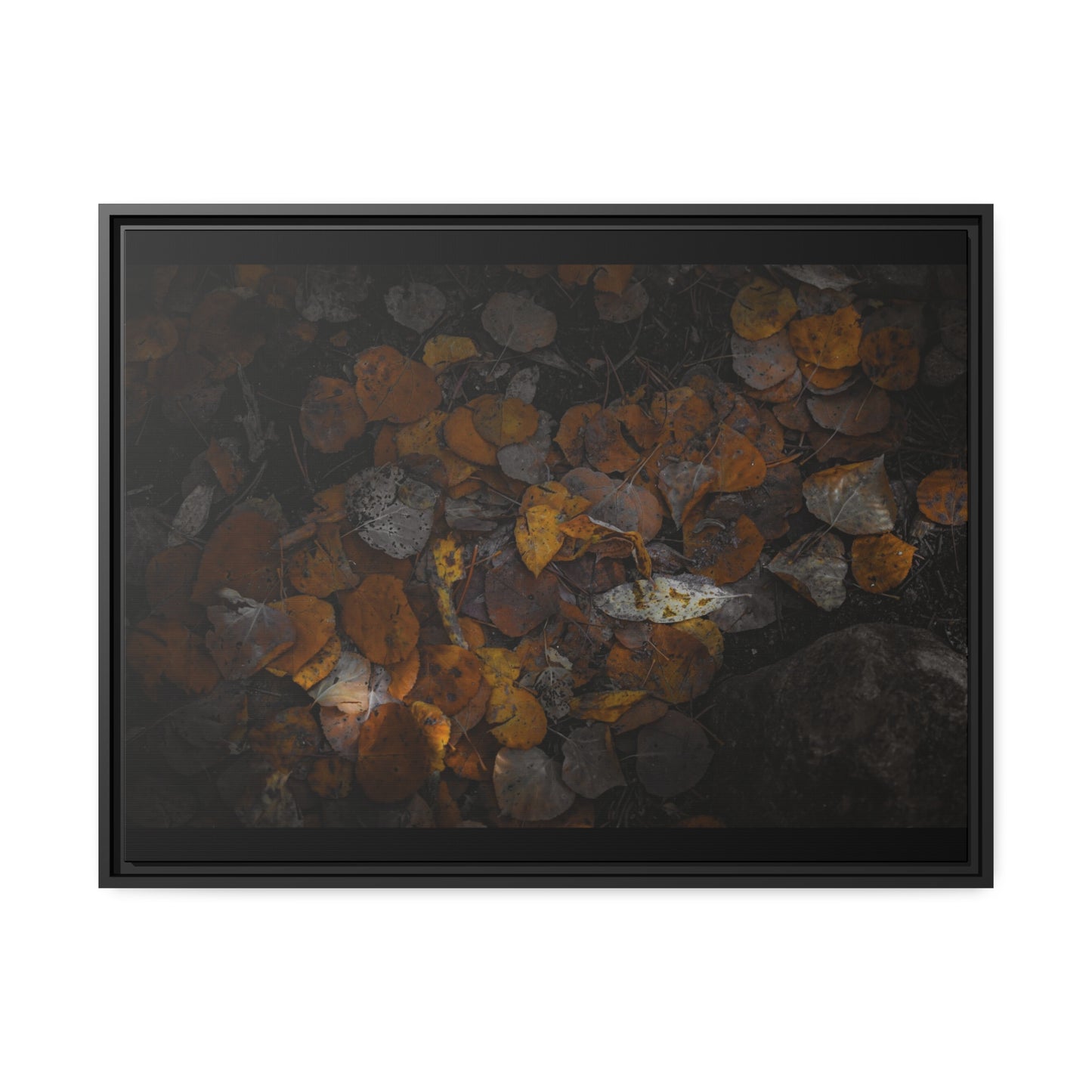 Earthy Forest Floor Wrapped Framed Canvas