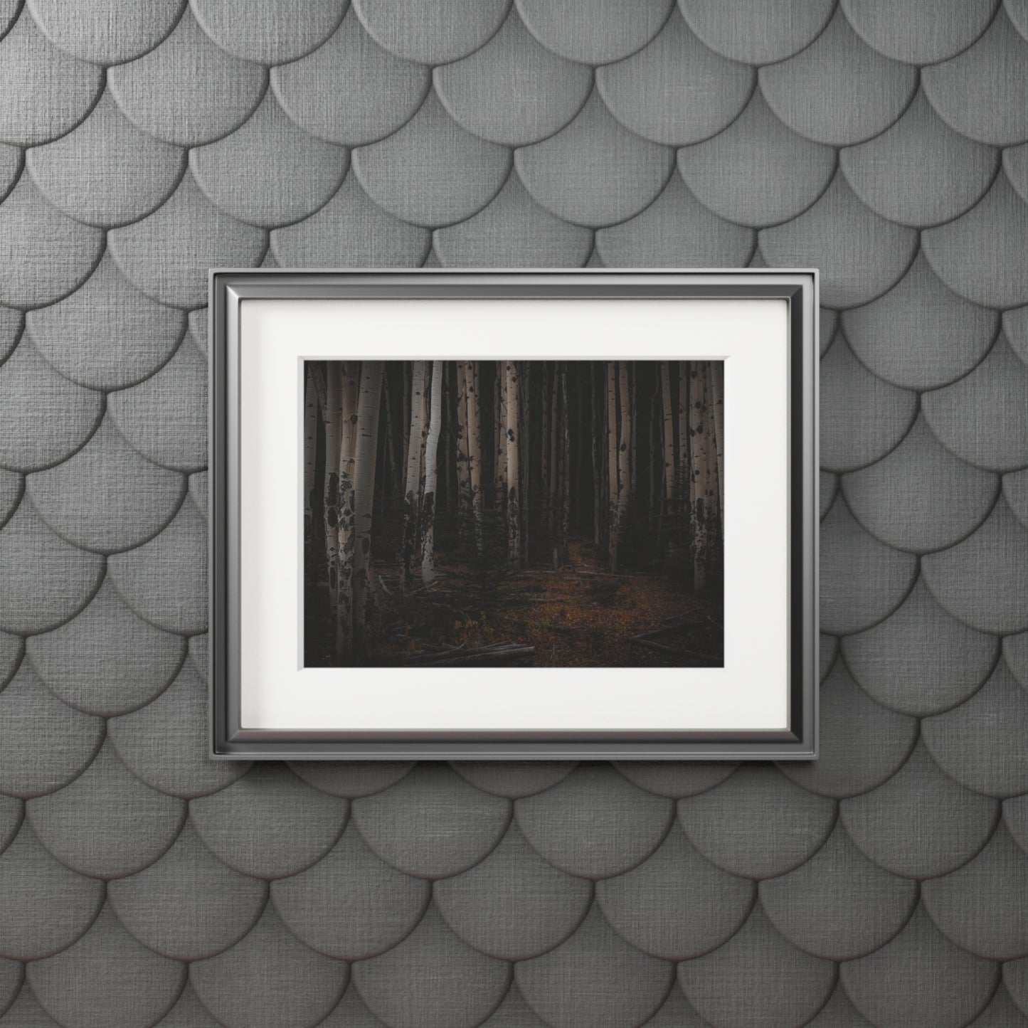 "Moody Aspen Grove" Fine Art Prints (Passepartout Paper Frame)