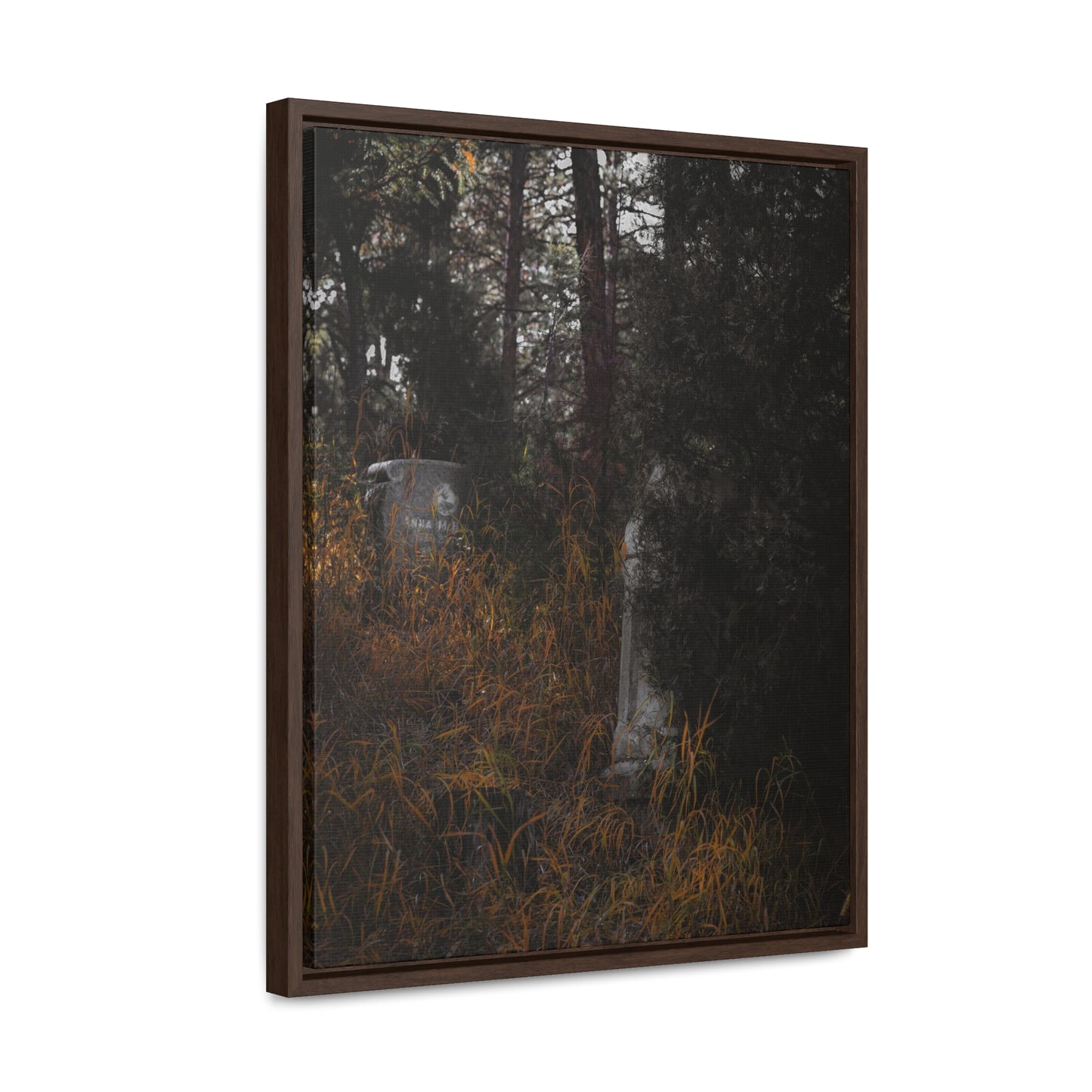 "Hidden Stories" Gallery Canvas Wraps, Vertical Frame