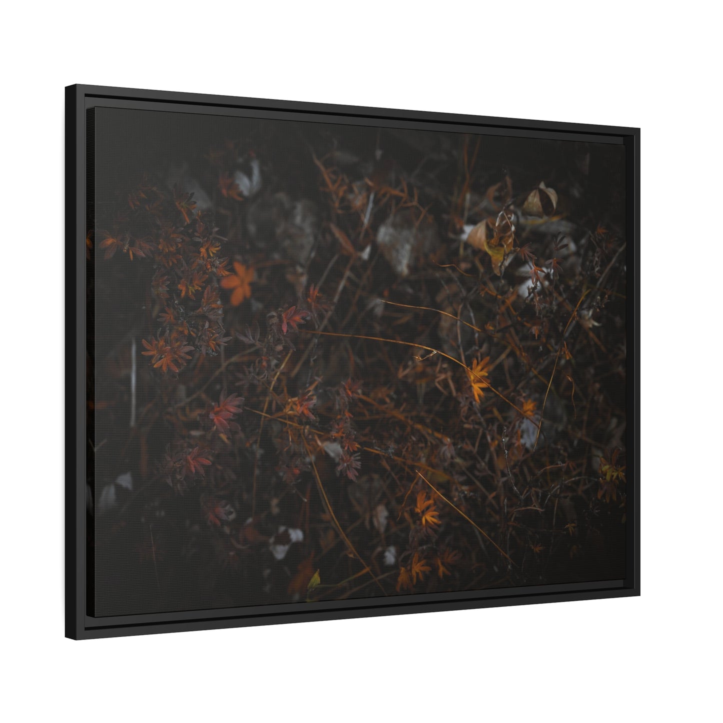 "Autumn's Last Breath" Framed Canvas