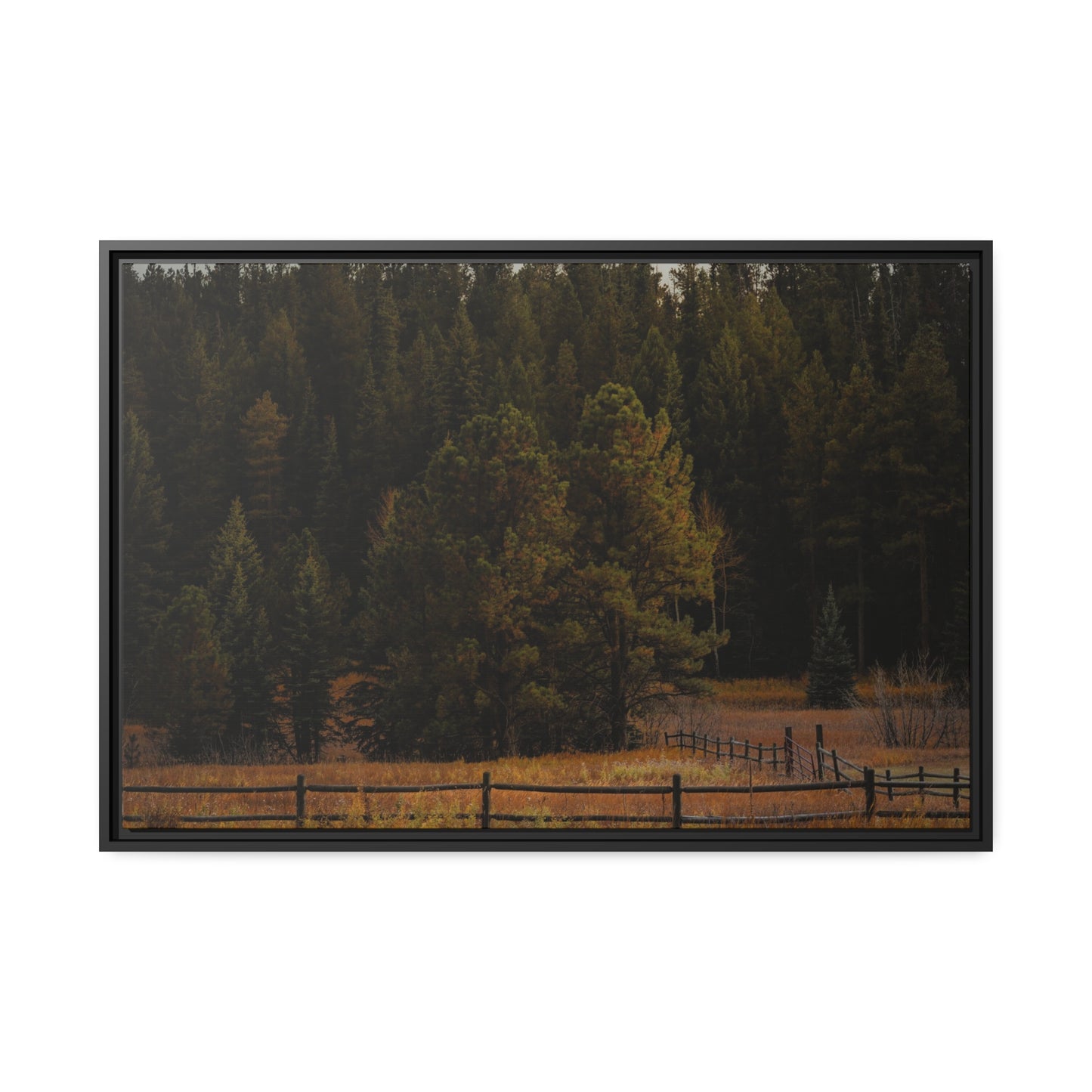 "Forest's Edge" Framed Canvas