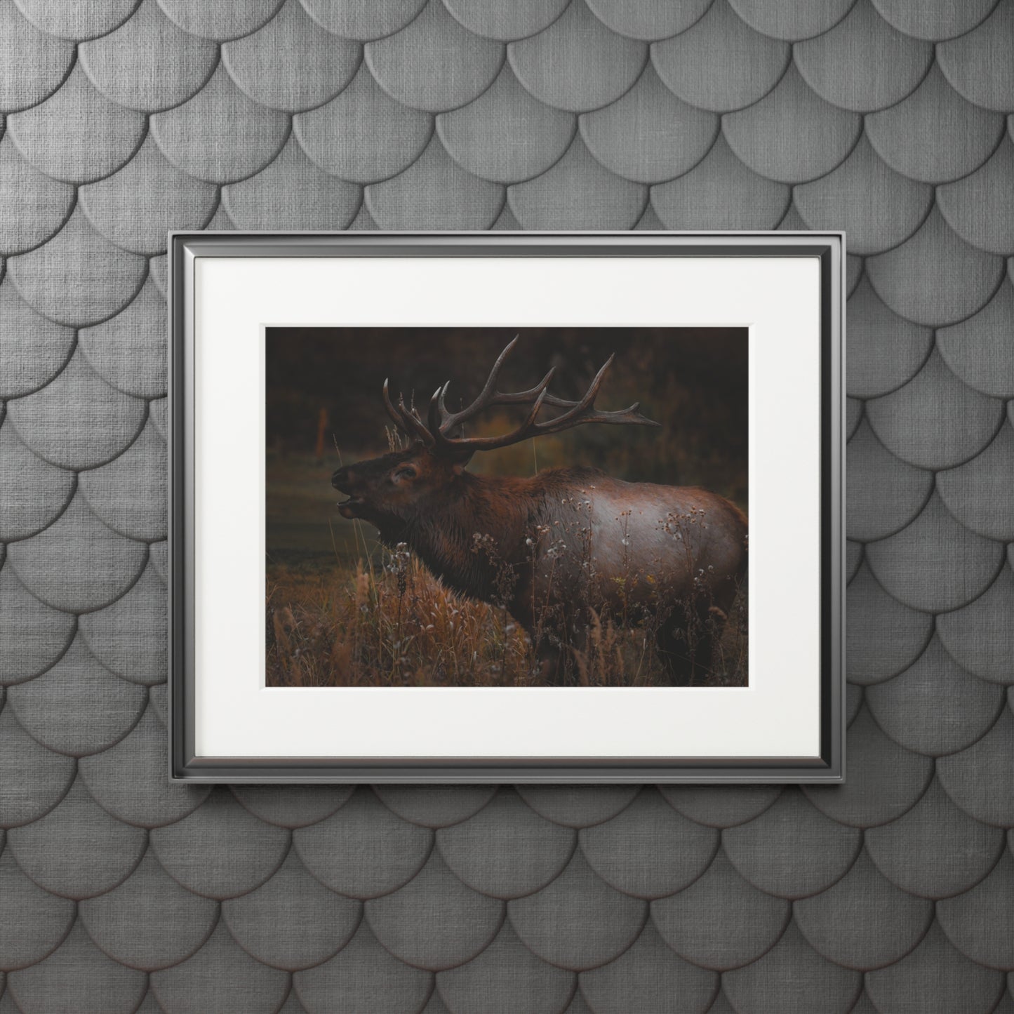 "The Bull" Fine Art Prints (Passepartout Paper Frame)