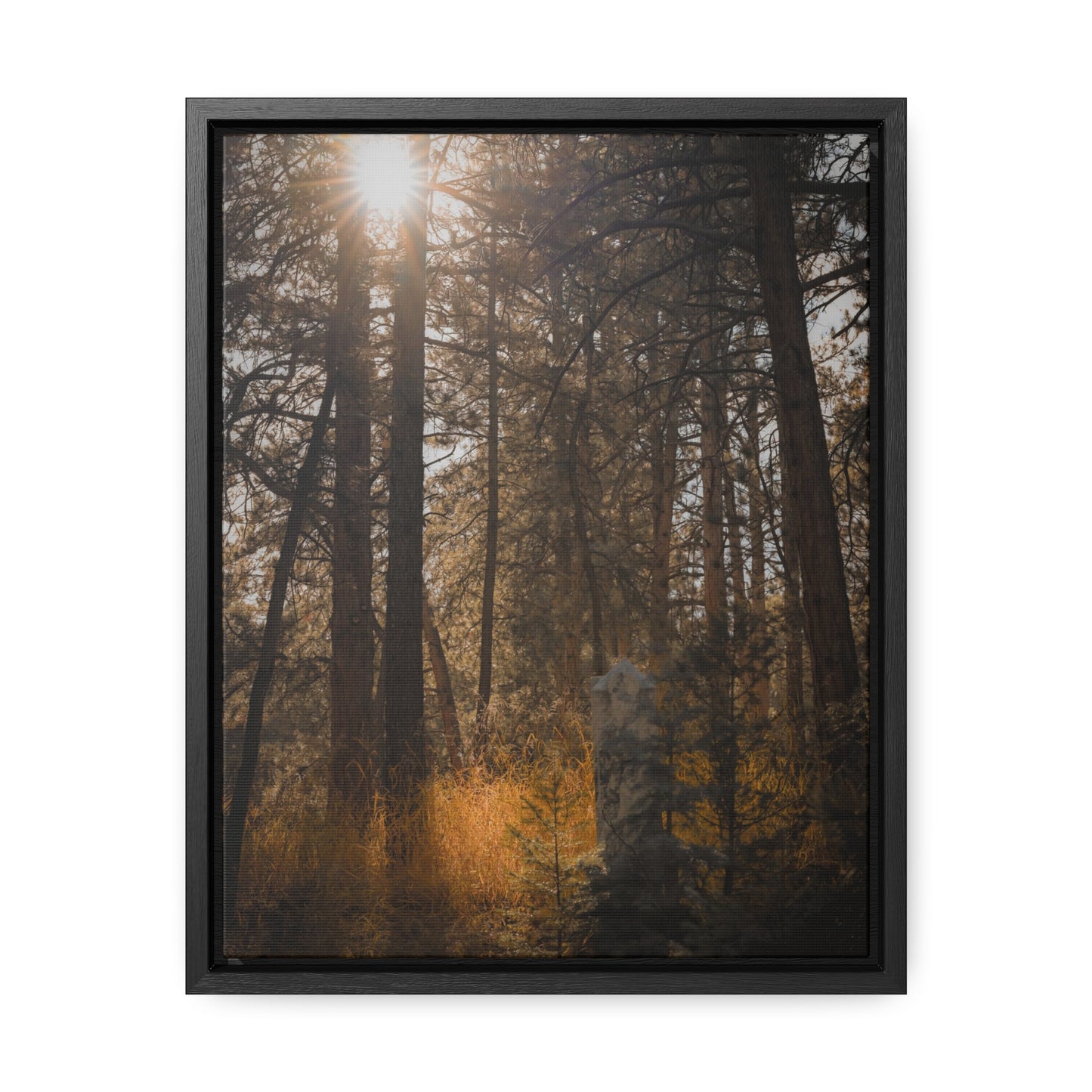 The Sun in the Cemetery Gallery Canvas Wraps, Vertical Frame