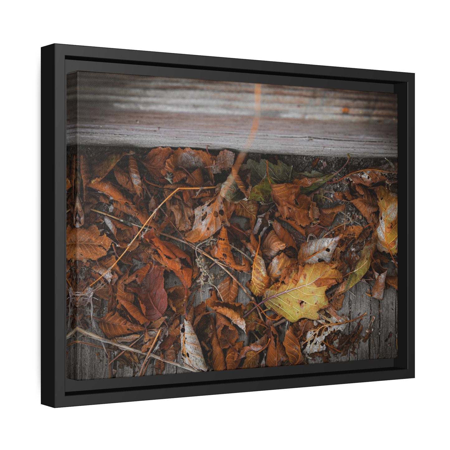 "Leaves on a Bridge" Framed Canvas