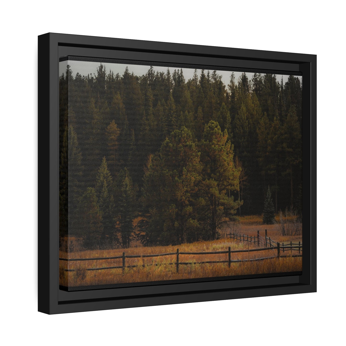 "Forest's Edge" Framed Canvas