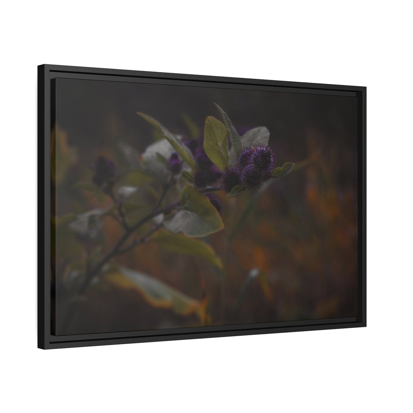 "Autumn's Kiss" Framed Canvas