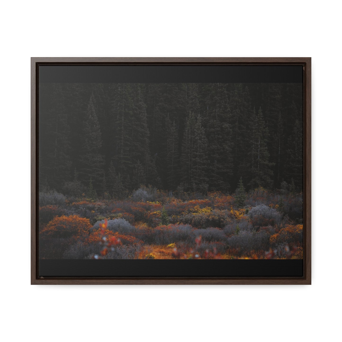 Moody Forest Framed Gallery Canvas