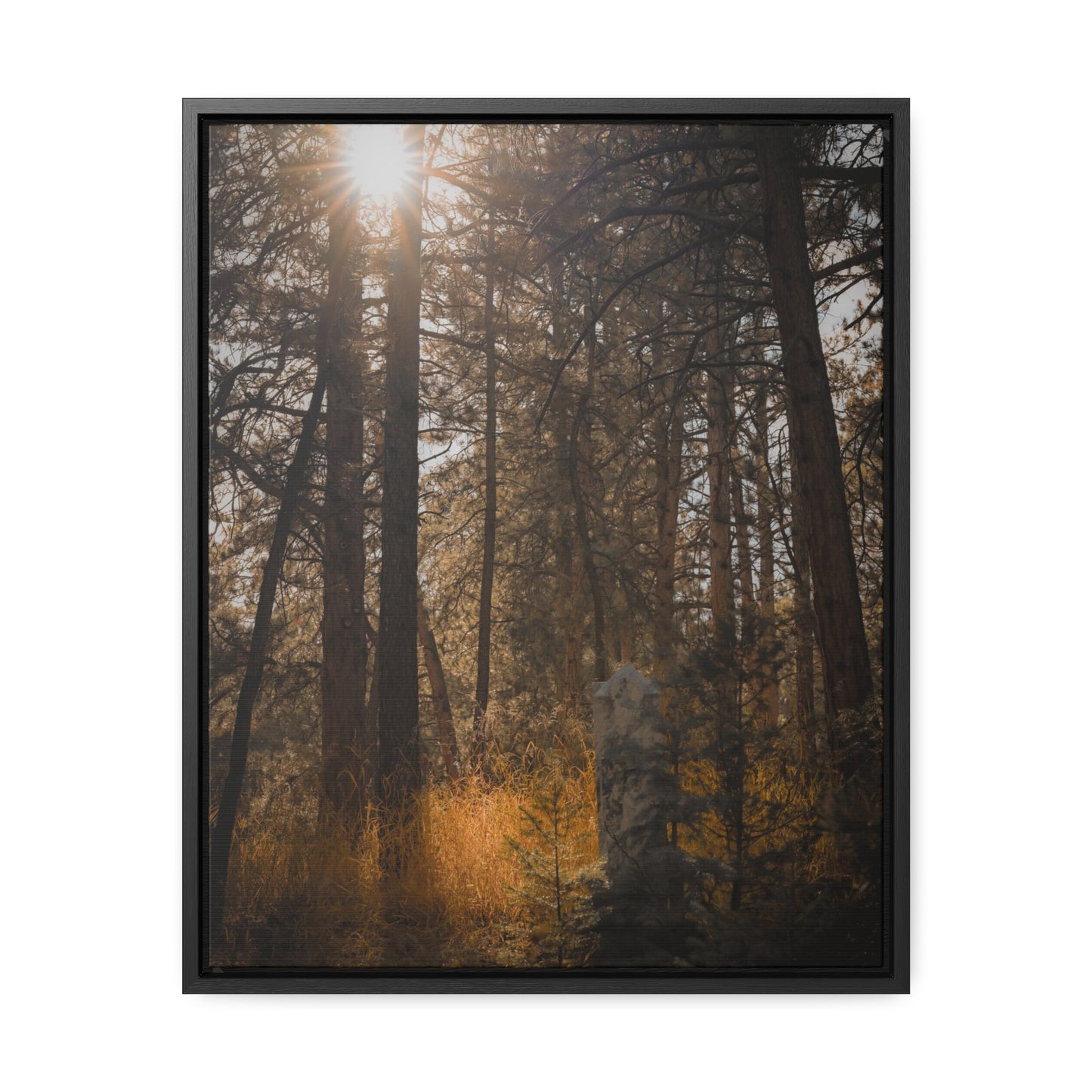 The Sun in the Cemetery Gallery Canvas Wraps, Vertical Frame