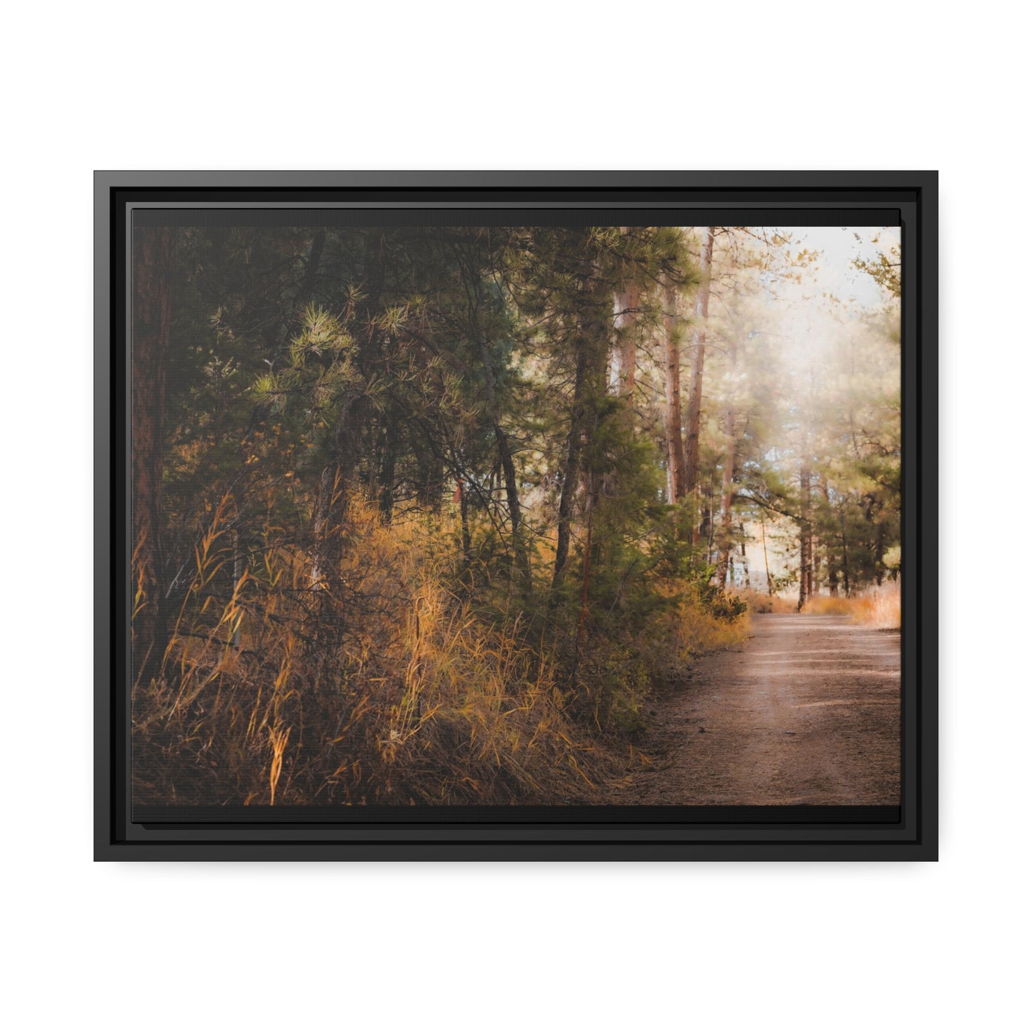 "Cemetery Light" Framed Canvas