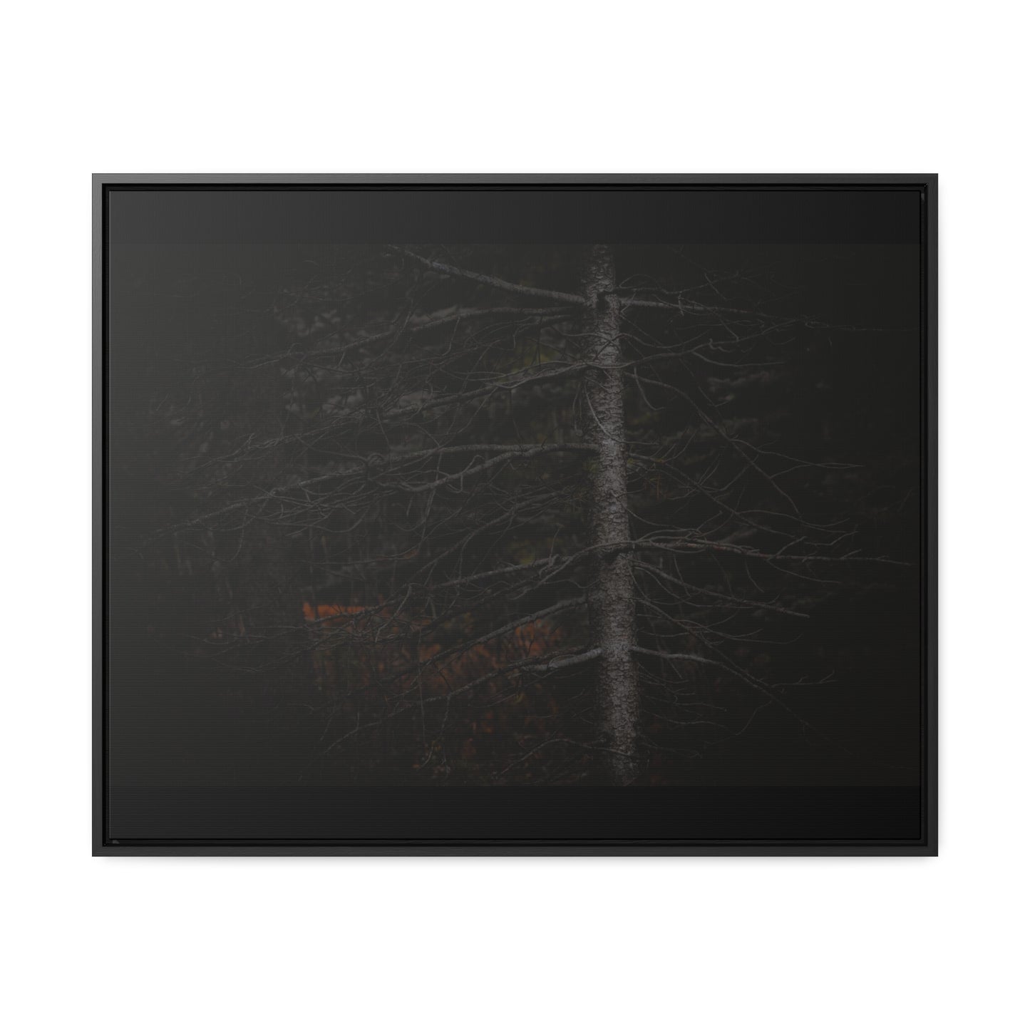 Beauty in Darkness Framed Gallery Canvas